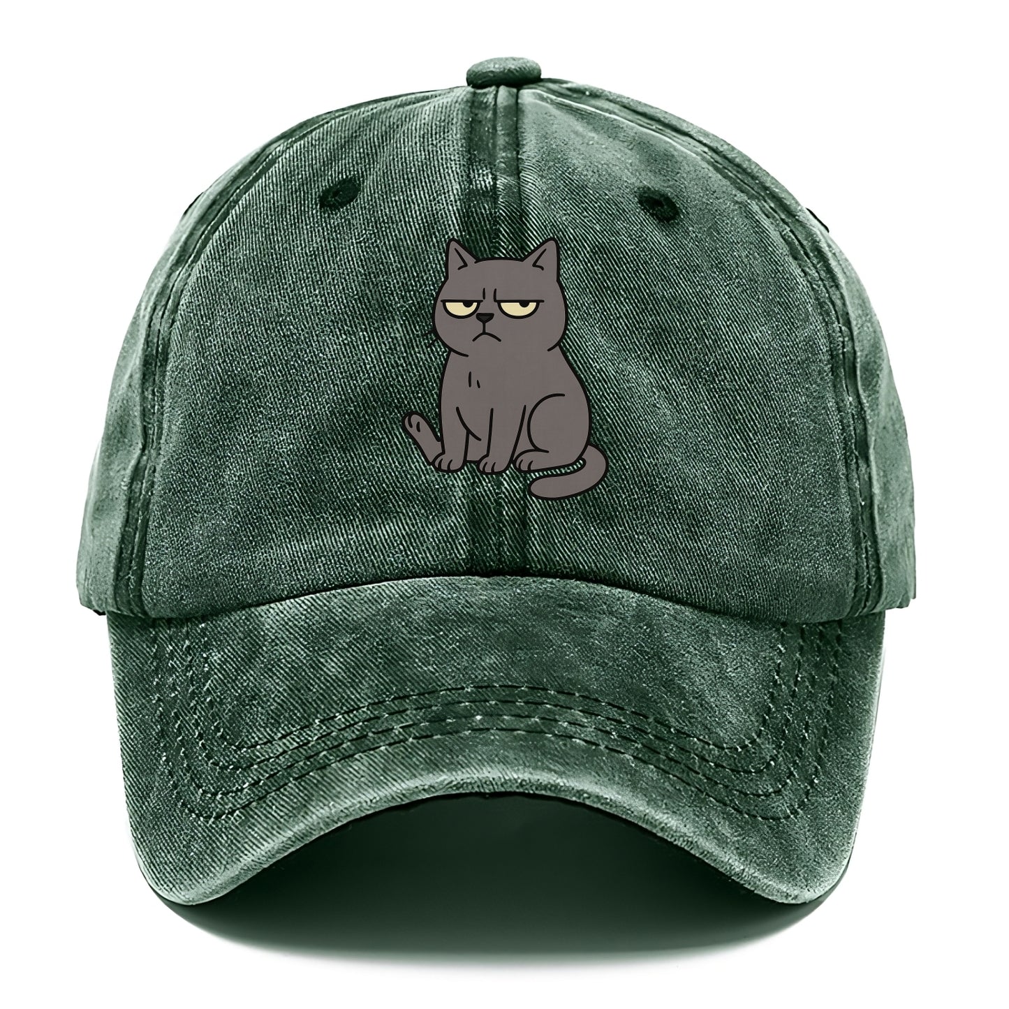 The Cat Judging Silently - Classic Cap - Forest Mist(Green)
