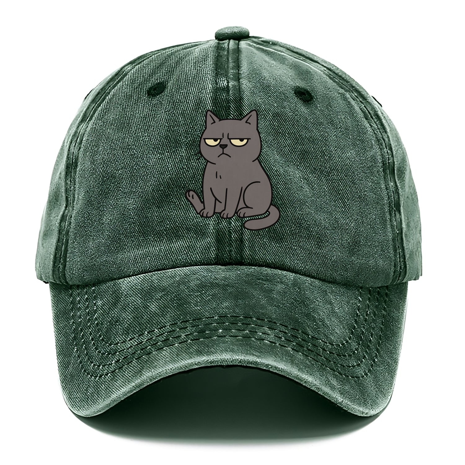 The Cat Judging Silently - Classic Cap - Forest Mist(Green)