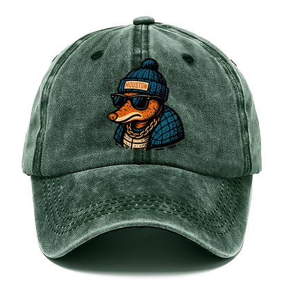 Houston Armadillo wearing Houston beanie with pom pom and wayfarer sunglasses - Classic Cap - Forest Mist(Green)