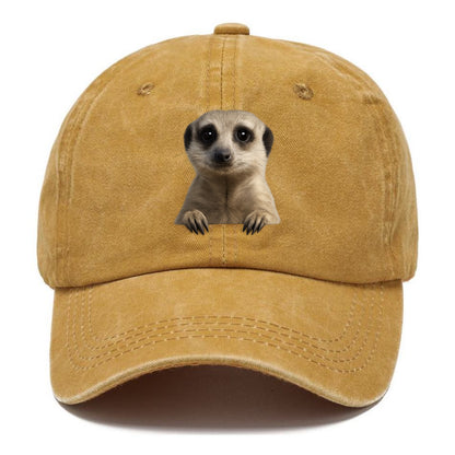 Meerkat  - Classic Cap - Golden Harvest(Yellow)