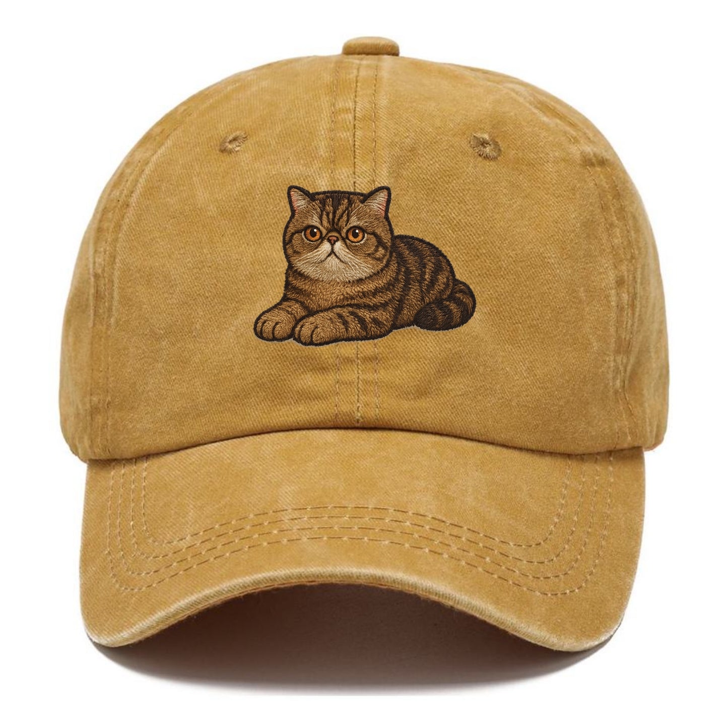 Exotic Shorthair  relaxed lying down wit Classic Cap - Golden Harvest(Yellow)
