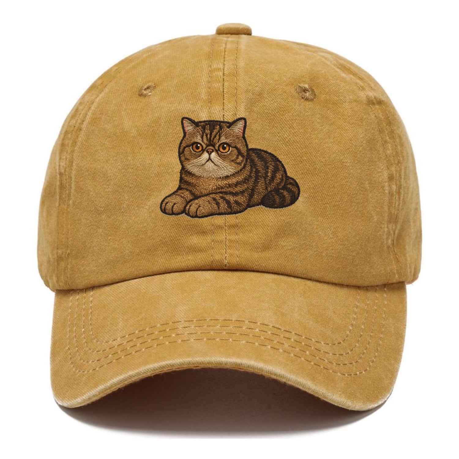 Exotic Shorthair  relaxed lying down wit Classic Cap - Golden Harvest(Yellow)