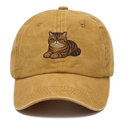 Exotic Shorthair  relaxed lying down wit Classic Cap - Golden Harvest(Yellow)