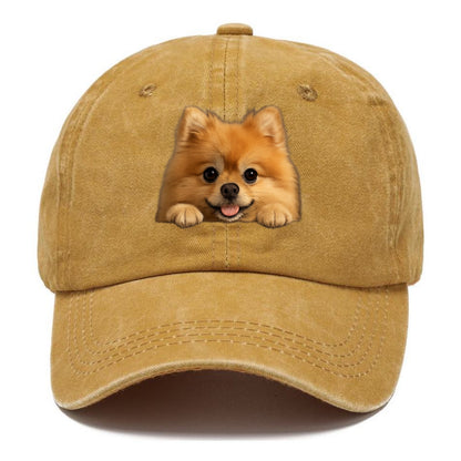 Pomeranian  - Classic Cap - Golden Harvest(Yellow)