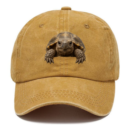 Tortoise  - Classic Cap - Golden Harvest(Yellow)