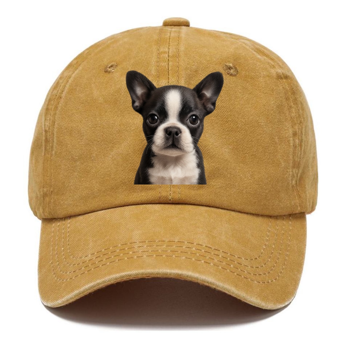 Baby Boston Terrier Puppy - tuxedo markings, big round eyes, bat ears, front-facing, - Classic Cap - Golden Harvest(Yellow)