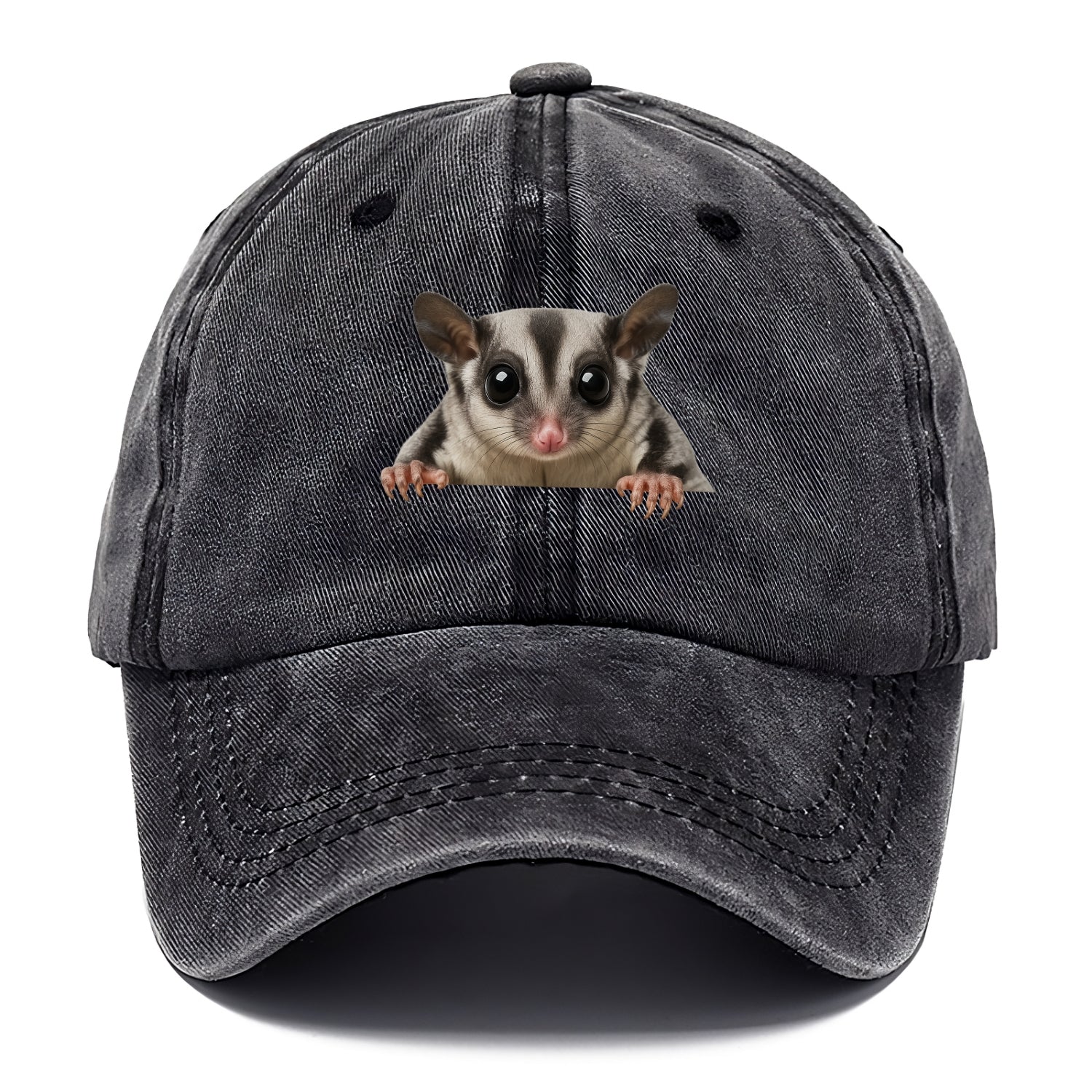 Sugar Glider  - Classic Cap - Graphite