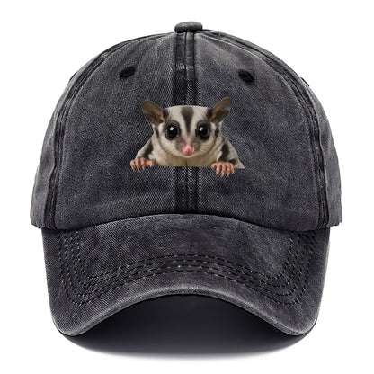 Sugar Glider  - Classic Cap - Graphite