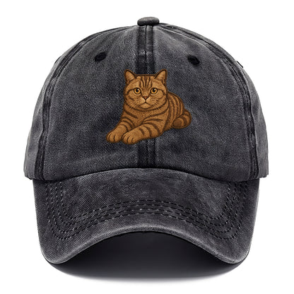 British Shorthair  relaxed lying down wi Classic Cap - Graphite