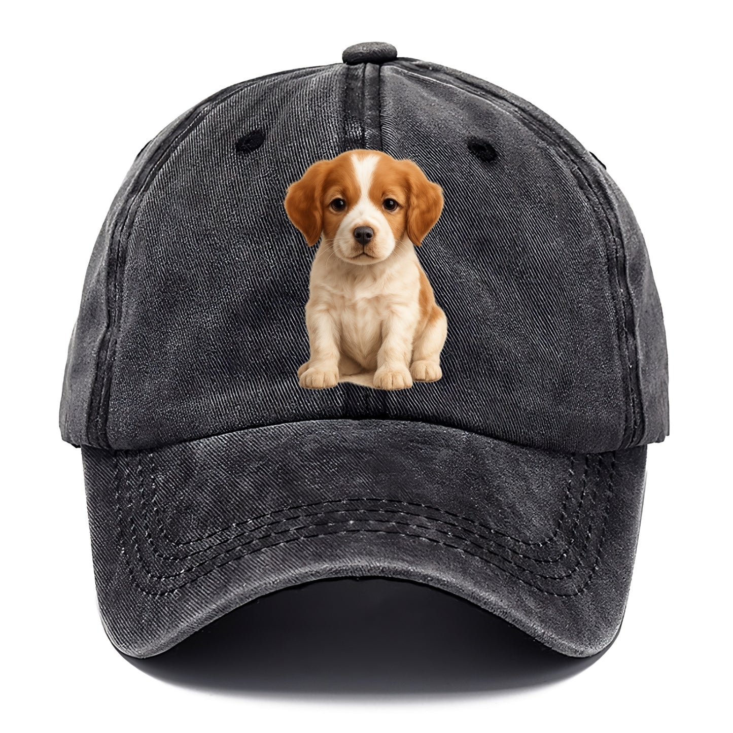 Baby Brittany Puppy - orange and white, compact, bright eyes, feathered, - Classic Cap - Graphite