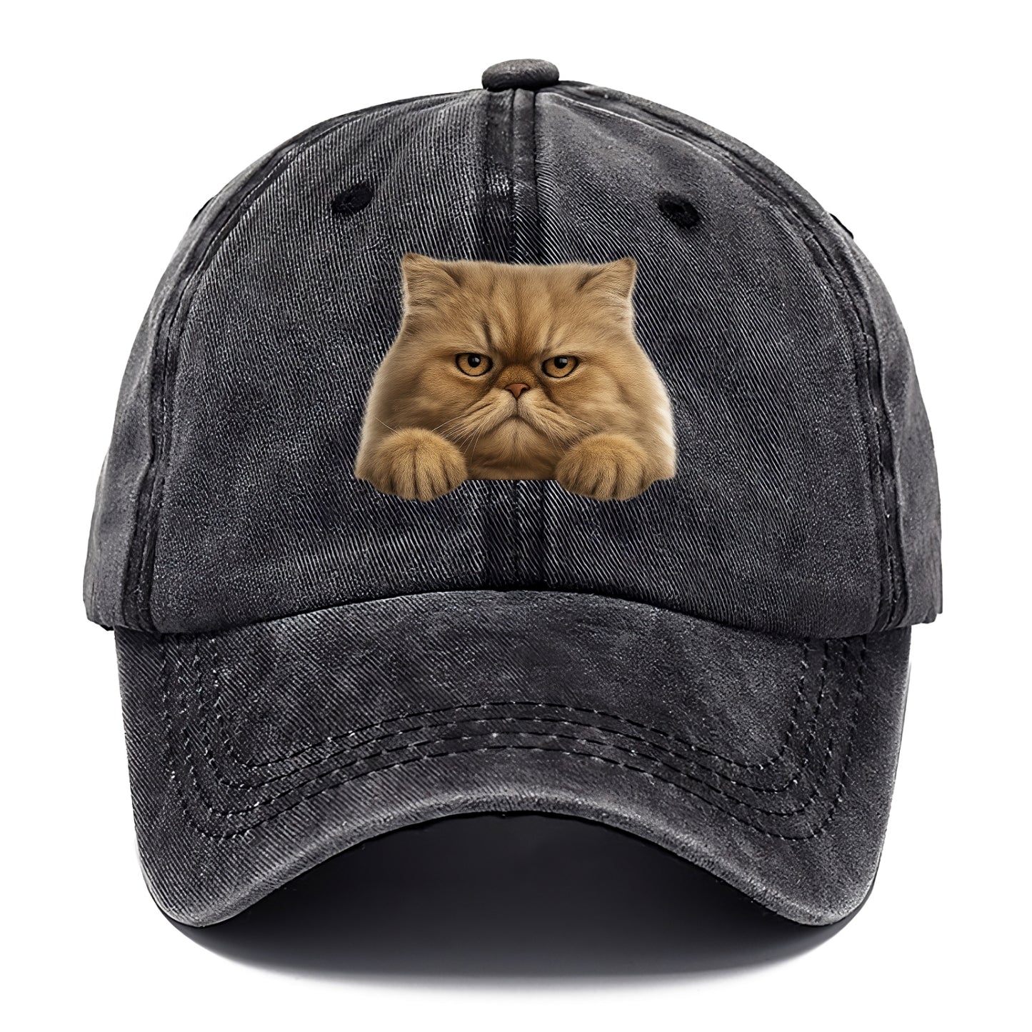 Persian Cat  - Classic Cap - Graphite