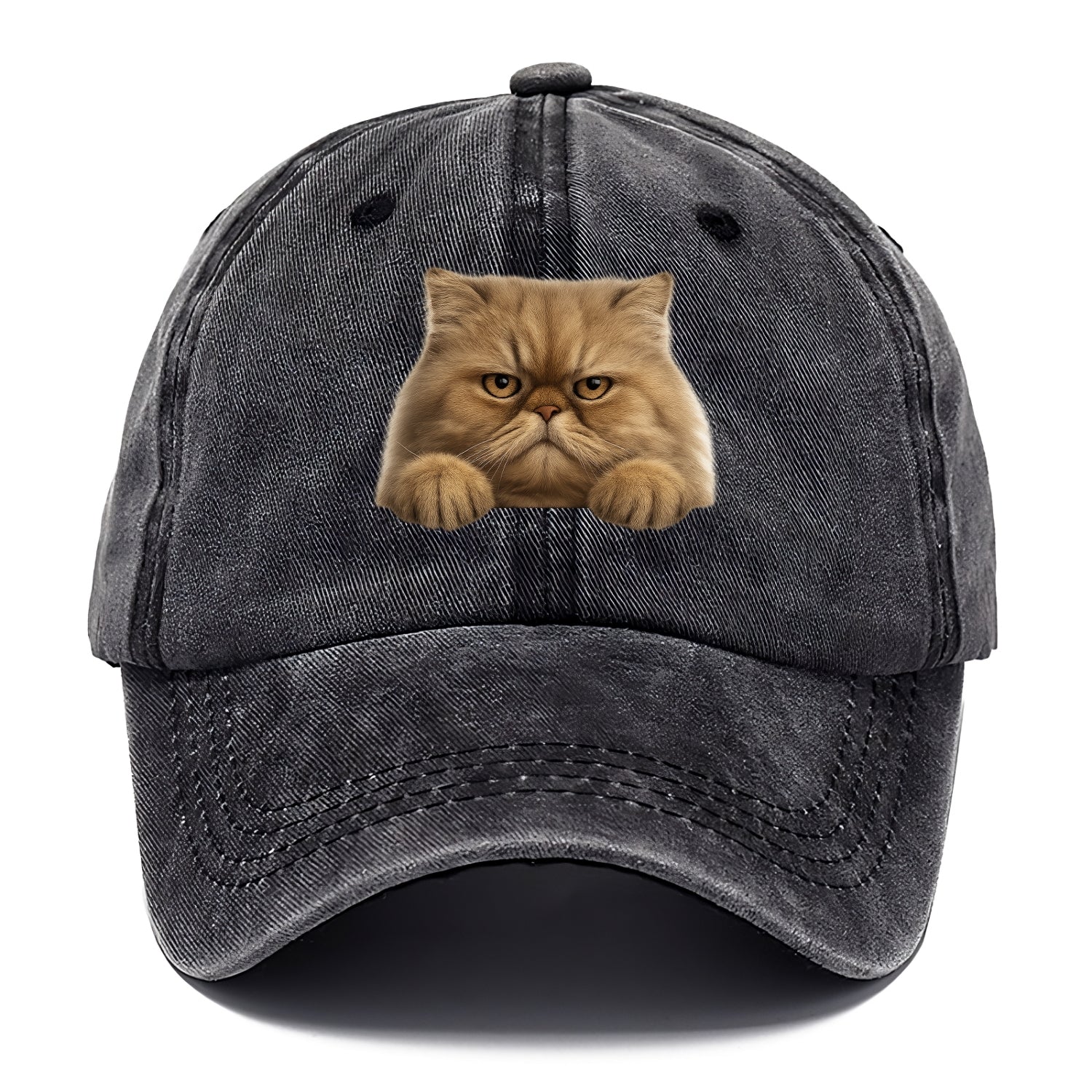 Persian Cat  - Classic Cap - Graphite