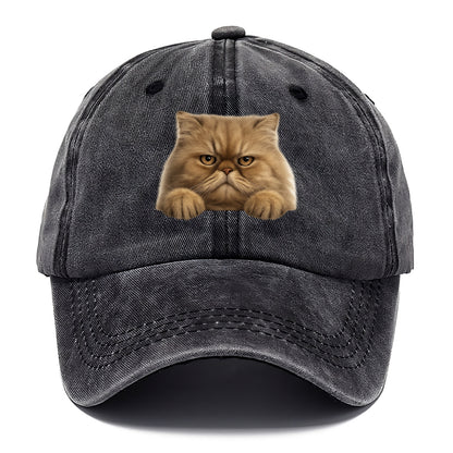 Persian Cat  - Classic Cap - Graphite