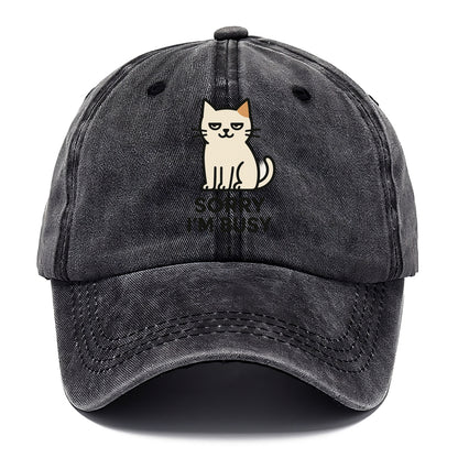 Cat sitting alone looking content - "SORRY I'M BUSY" - not sorry at all - Classic Cap - Graphite