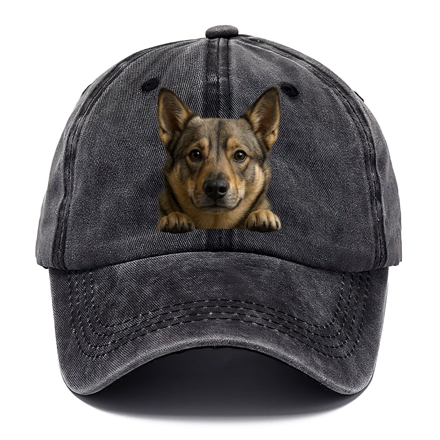 Swedish Vallhund  - Classic Cap - Graphite