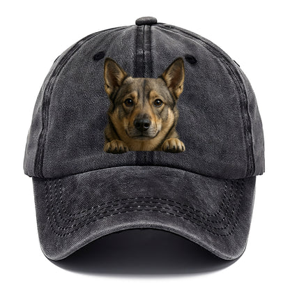 Swedish Vallhund  - Classic Cap - Graphite