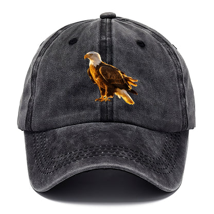 Eagle - Classic Cap - Graphite