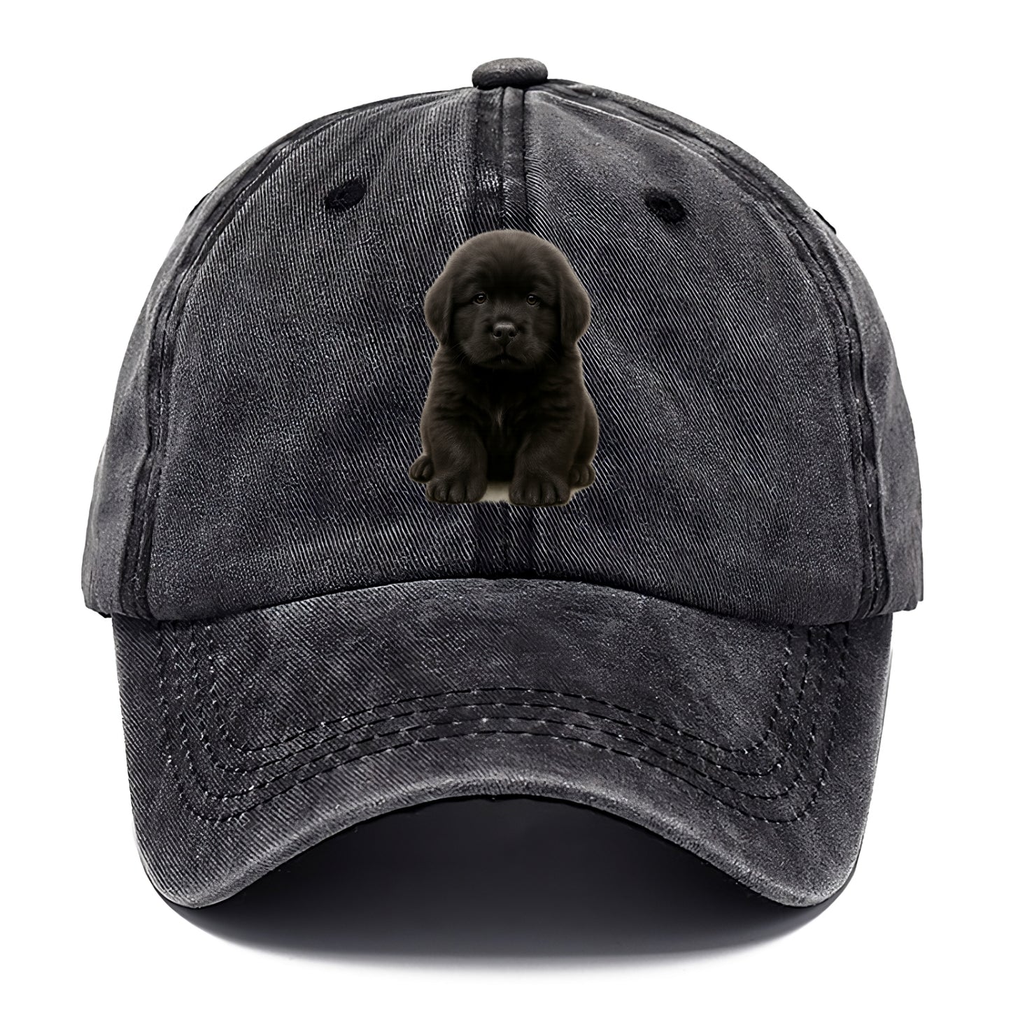 Baby Newfoundland Puppy - giant fluffy black, gentle eyes, webbed paws, front-facing, - Classic Cap - Graphite