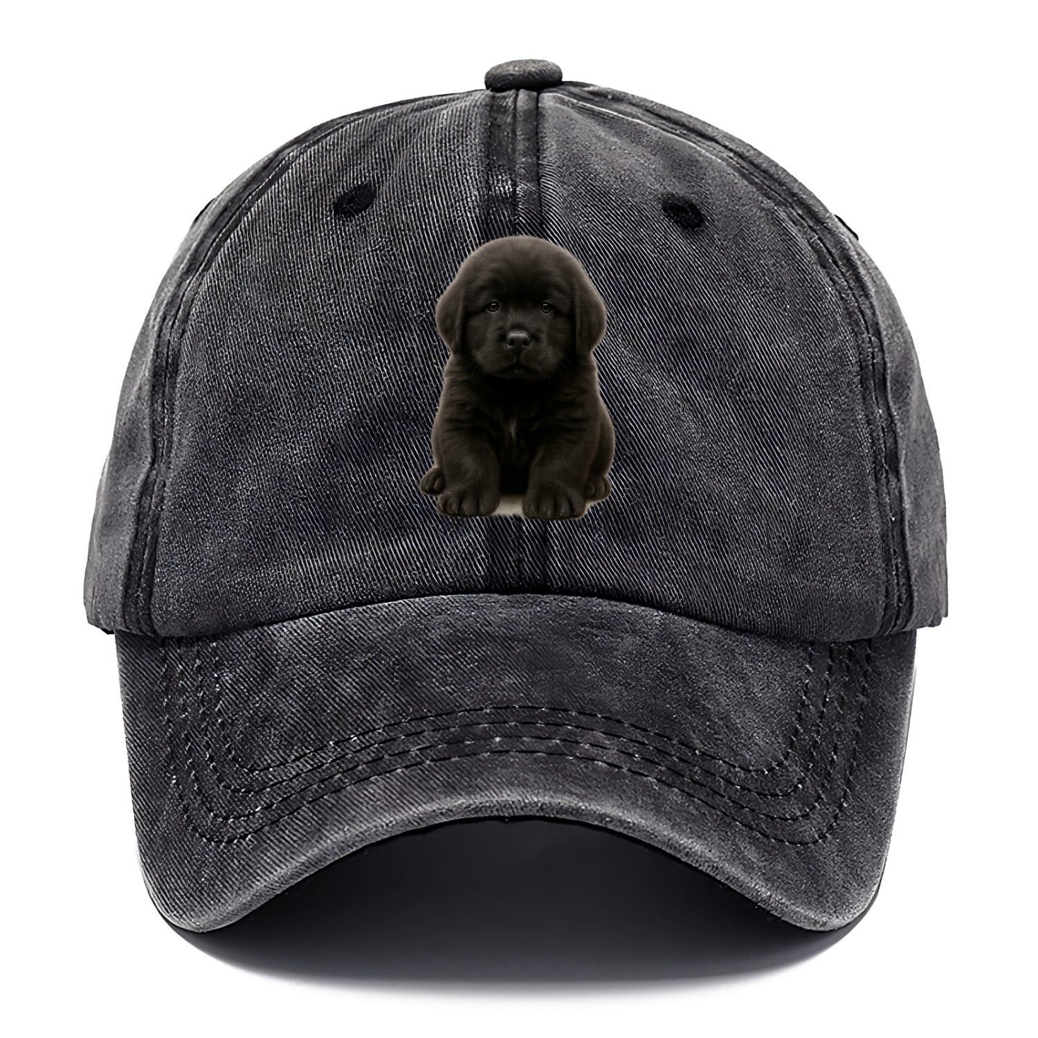 Baby Newfoundland Puppy - giant fluffy black, gentle eyes, webbed paws, front-facing, - Classic Cap - Graphite