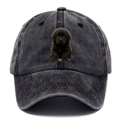 Baby Newfoundland Puppy - giant fluffy black, gentle eyes, webbed paws, front-facing, - Classic Cap - Graphite