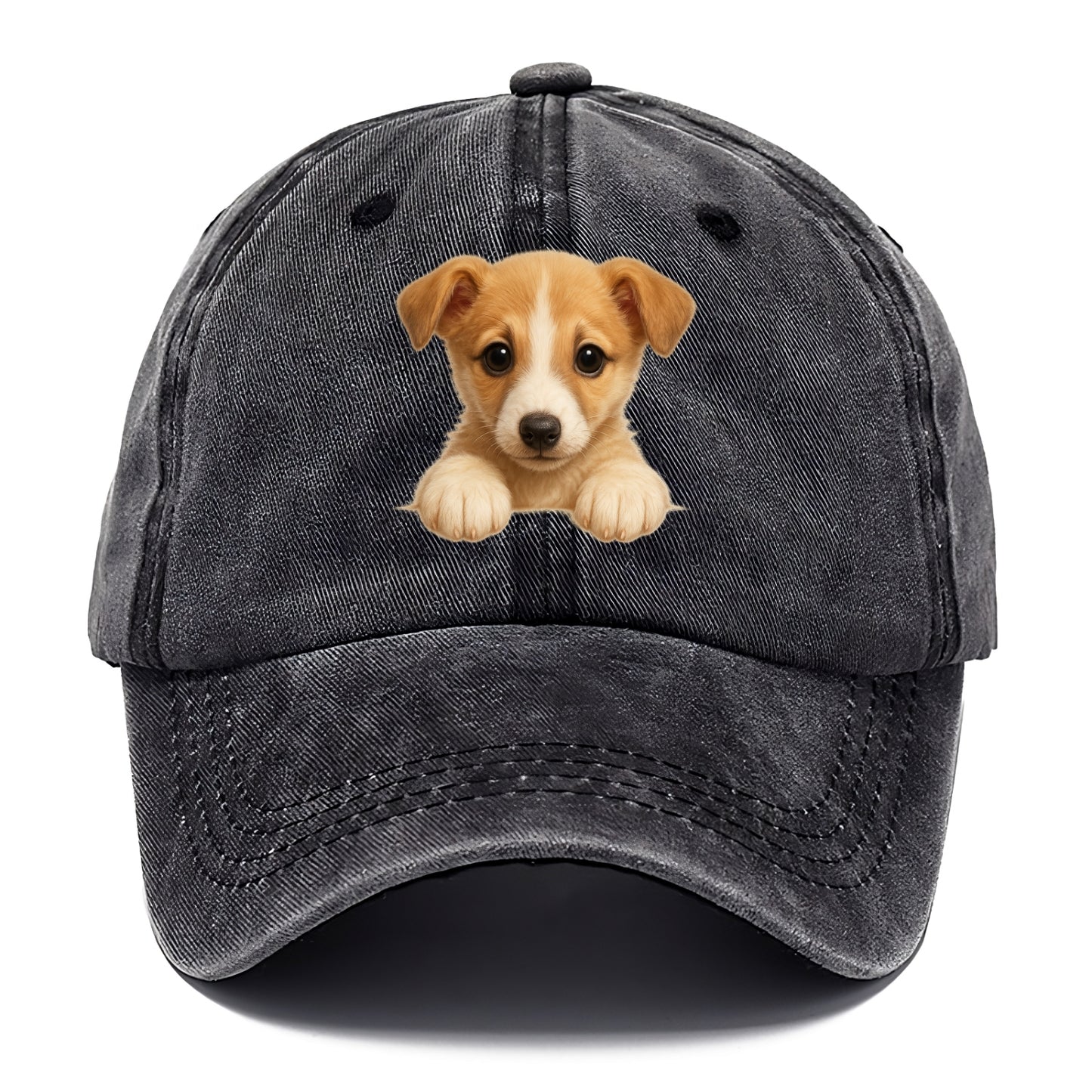 Whippet  - Classic Cap - Graphite