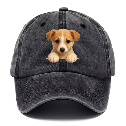 Whippet  - Classic Cap - Graphite