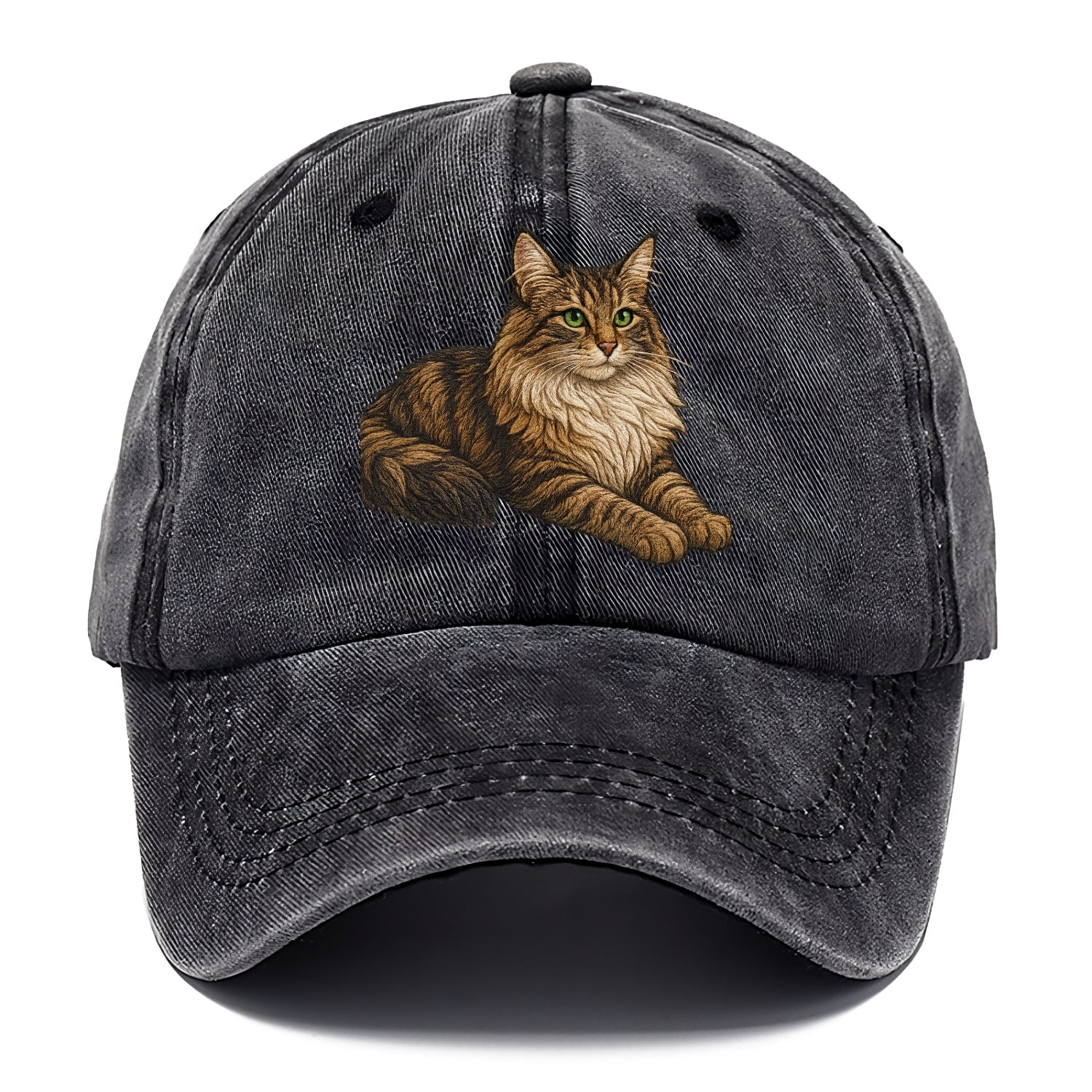 Norwegian Forest Cat  relaxed lying down Classic Cap - Graphite