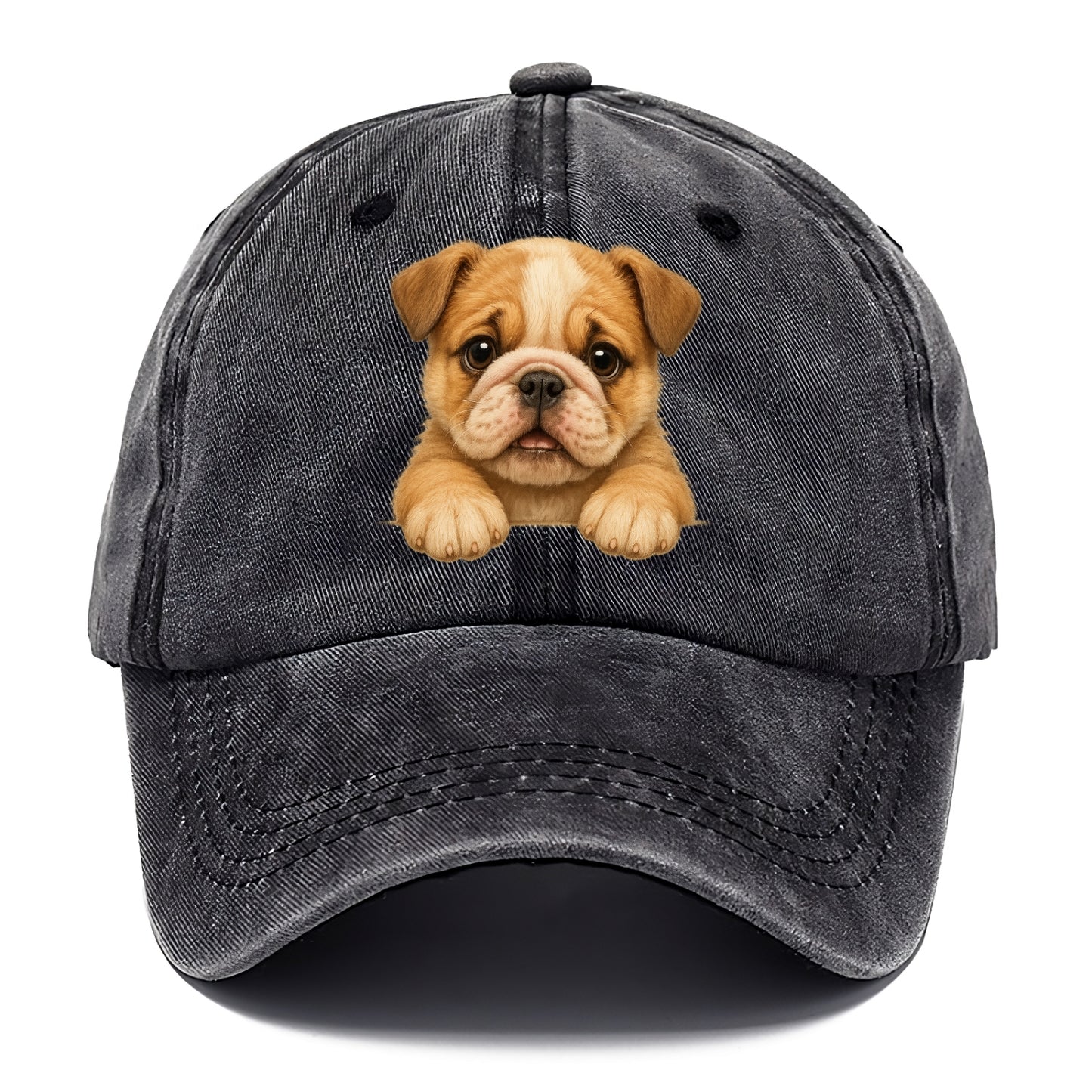 Bulldog  - Classic Cap - Graphite
