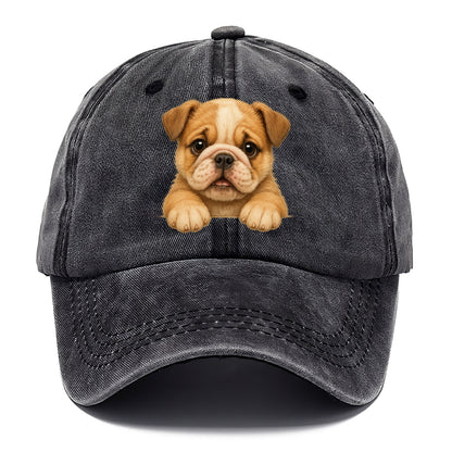 Bulldog  - Classic Cap - Graphite