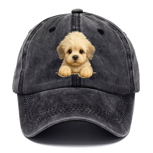 Dandie Dinmont Terrier  - Classic Cap - Graphite