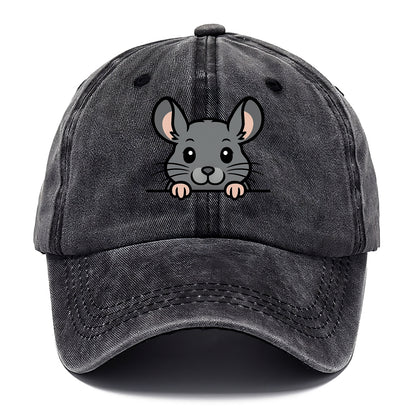 Chinchilla  - Classic Cap - Graphite