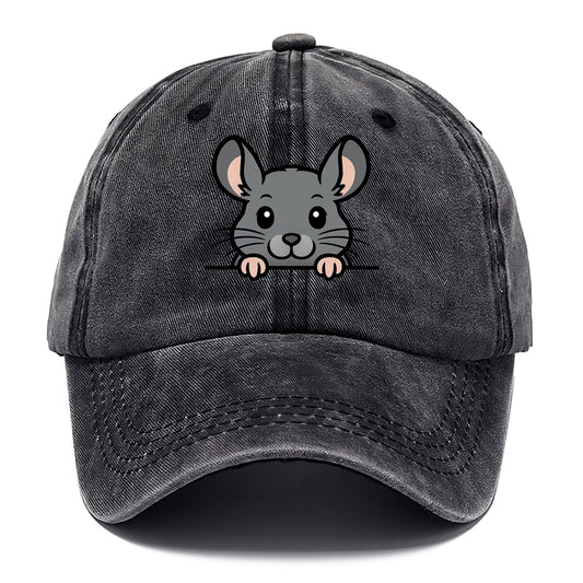 Chinchilla  - Classic Cap - Graphite