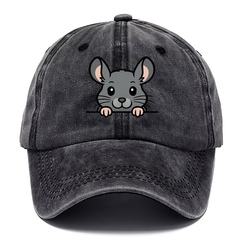 Chinchilla  - Classic Cap