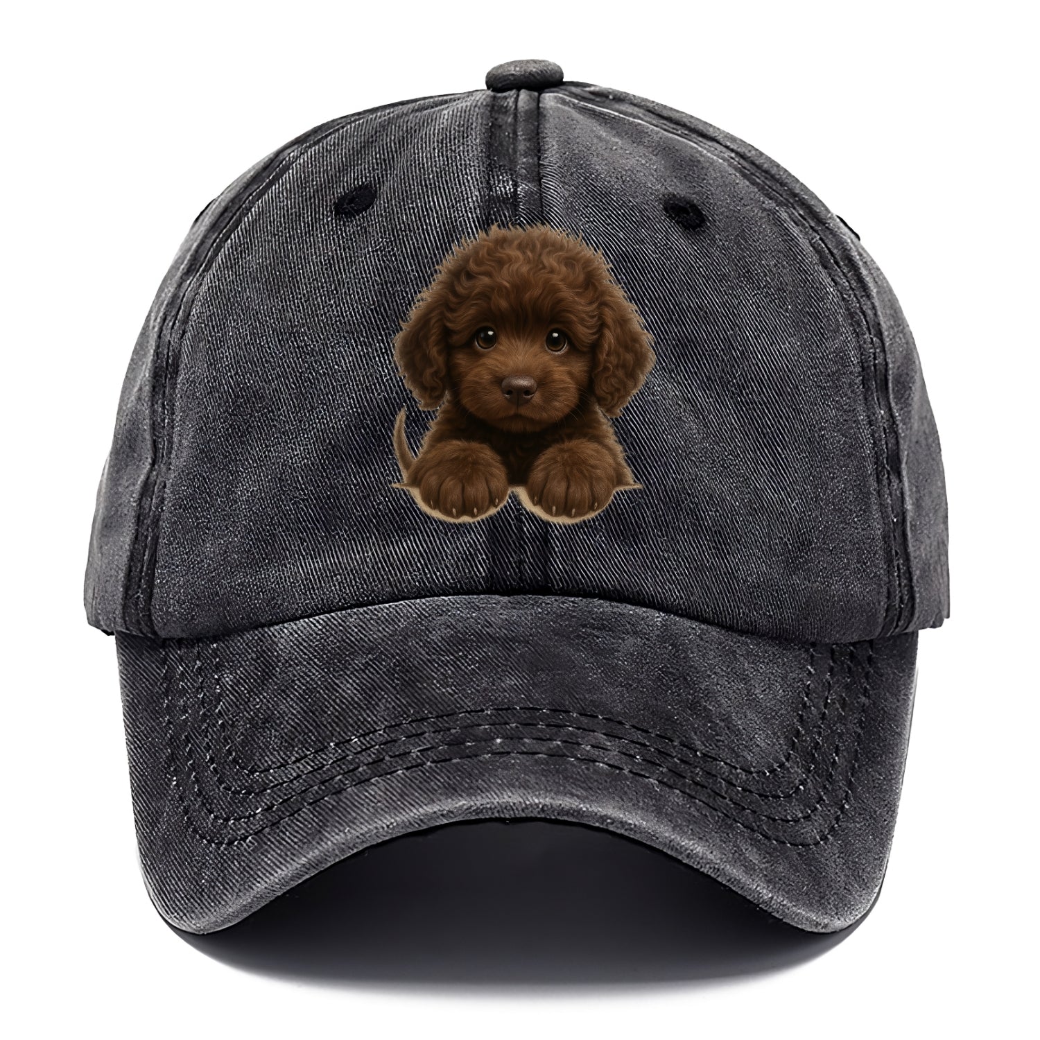 Irish Water Spaniel  - Classic Cap - Graphite