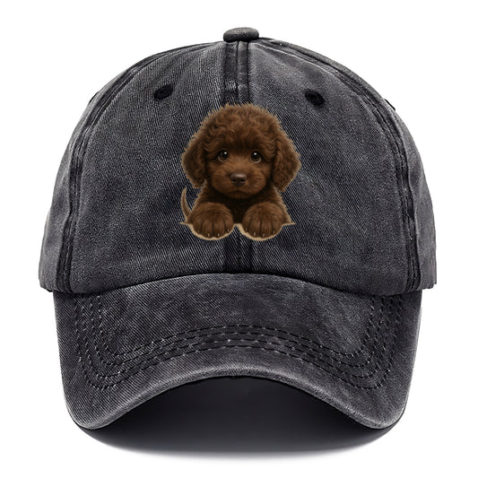 Irish Water Spaniel  - Classic Cap - Graphite