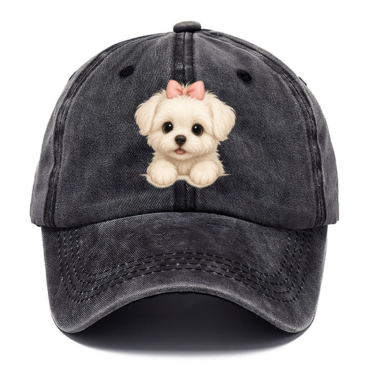 Maltese  - Classic Cap - Graphite
