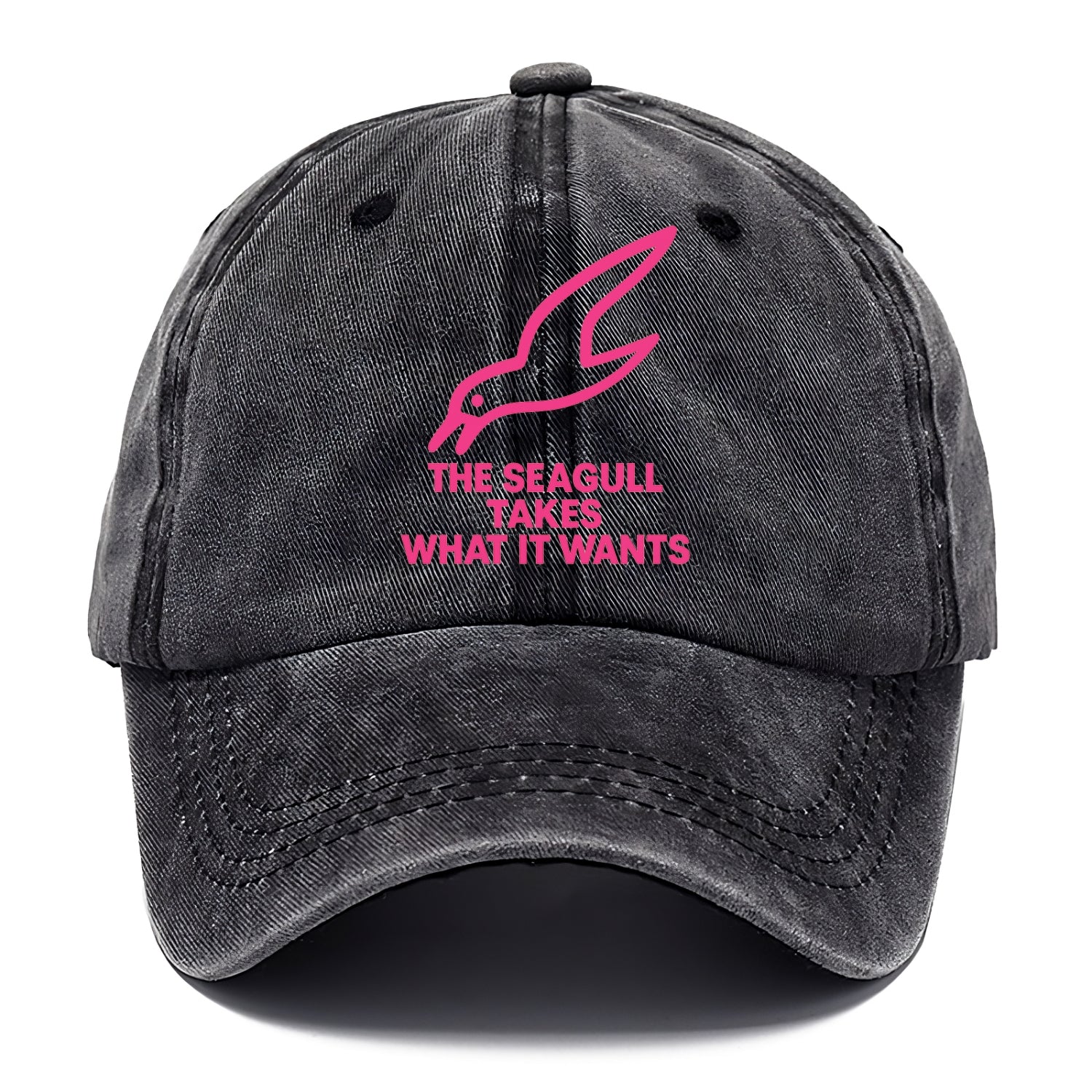 THE SEAGULL TAKES WHAT IT WANTS | Aggressive seagull diving down - Classic Cap - Graphite