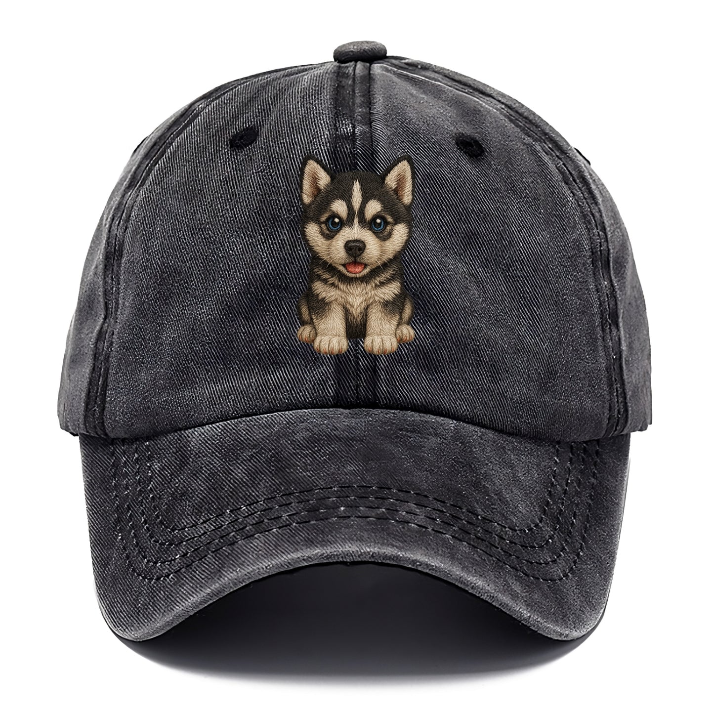 Baby Siberian Husky Puppy - blue or bi-colored eyes, fluffy coat, wolf-like, - Classic Cap - Graphite