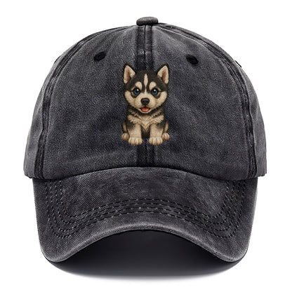 Baby Siberian Husky Puppy - blue or bi-colored eyes, fluffy coat, wolf-like, - Classic Cap - Graphite