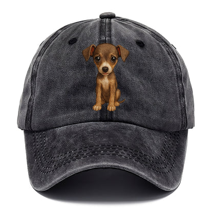 Baby Italian Greyhound Puppy - sleek tiny body, long legs, gentle eyes, front-facing, - Classic Cap - Graphite