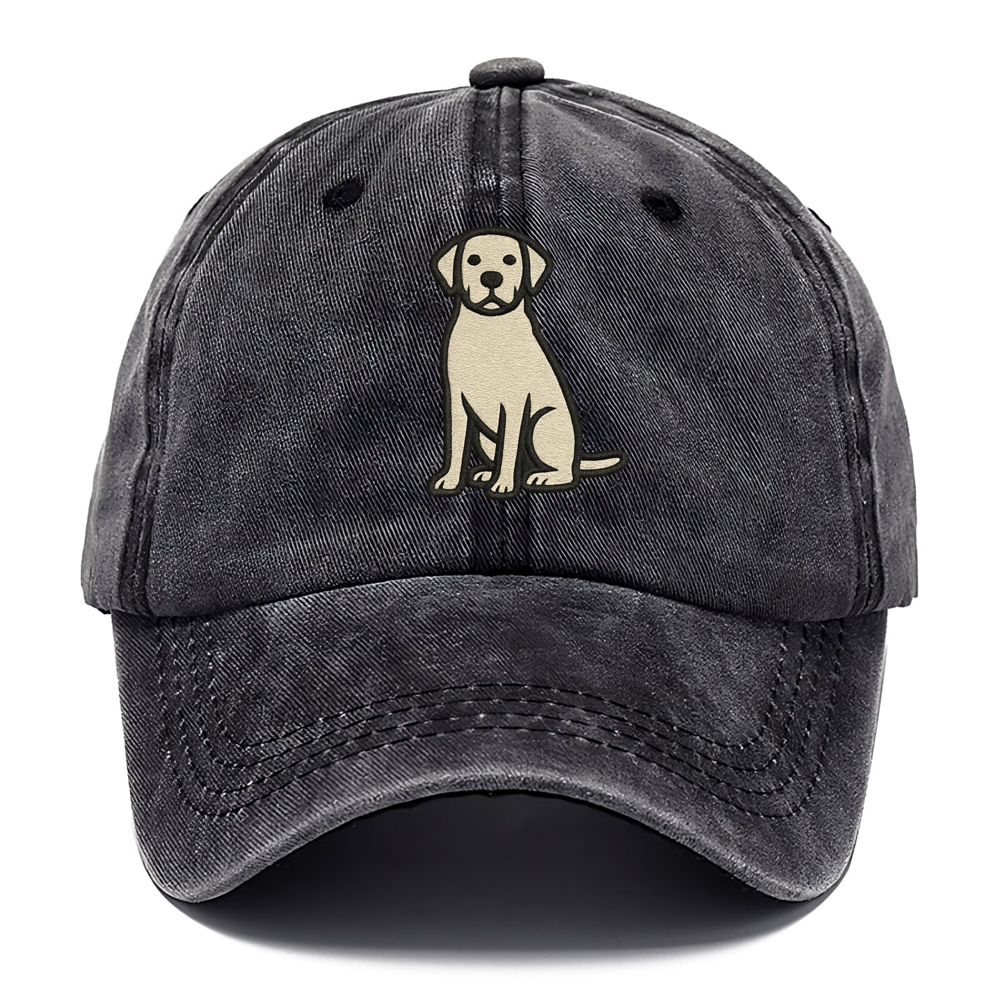 Goldador - Golden Lab mix sitting pose - Classic Cap - Graphite