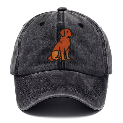 Nova Scotia Duck Tolling Retriever - Red embroidered pose - Classic Cap - Graphite