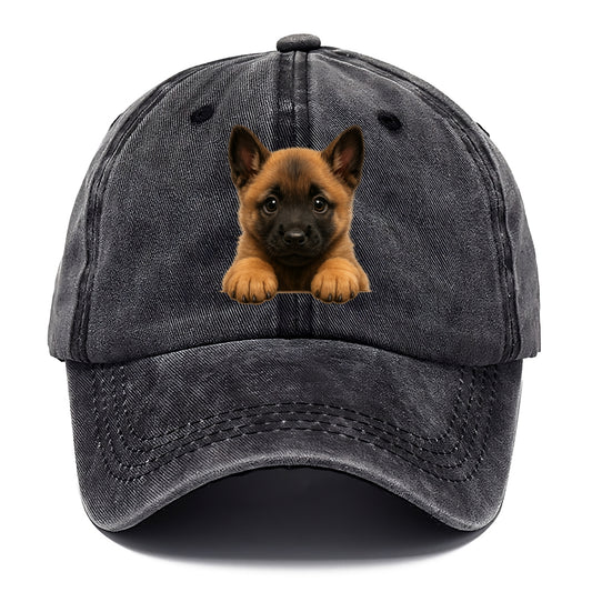 Belgian Malinois  - Classic Cap - Graphite