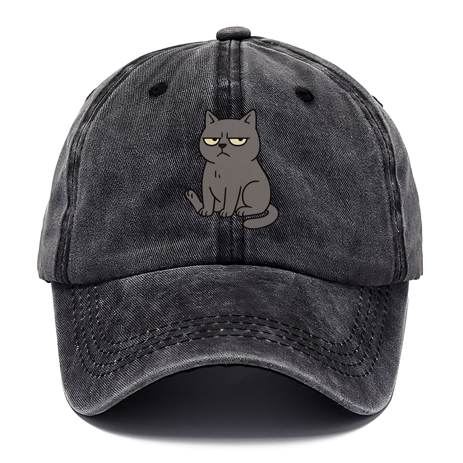 The Cat Judging Silently - Classic Cap - Graphite