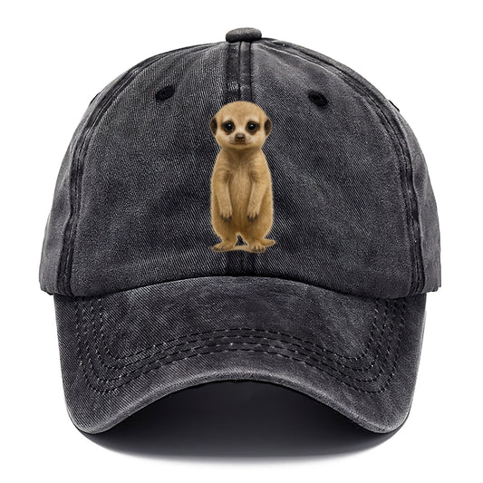 Baby Meerkat - tan fur, dark eye patches, alert stance, bright eyes, front-facing, - Classic Cap - Graphite