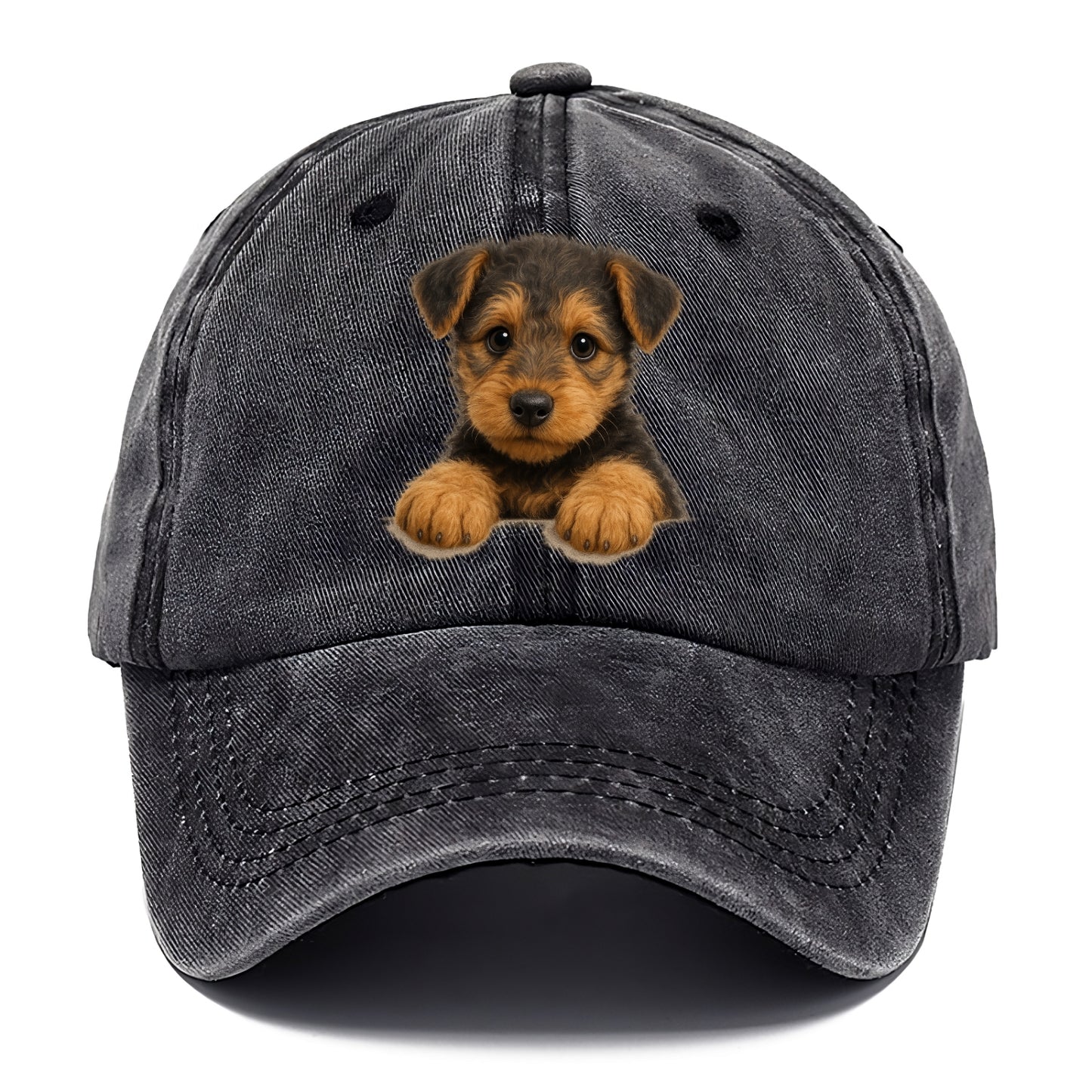 Airedale Terrier  - Classic Cap - Graphite