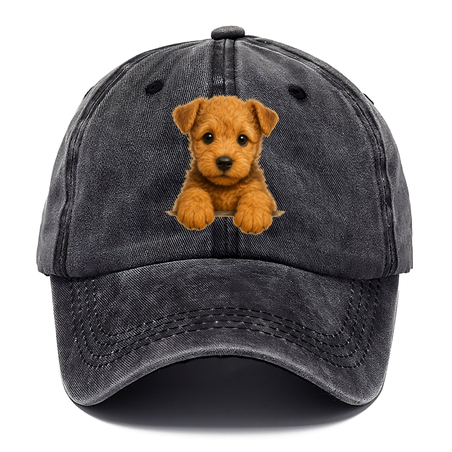 Lakeland Terrier  - Classic Cap - Graphite