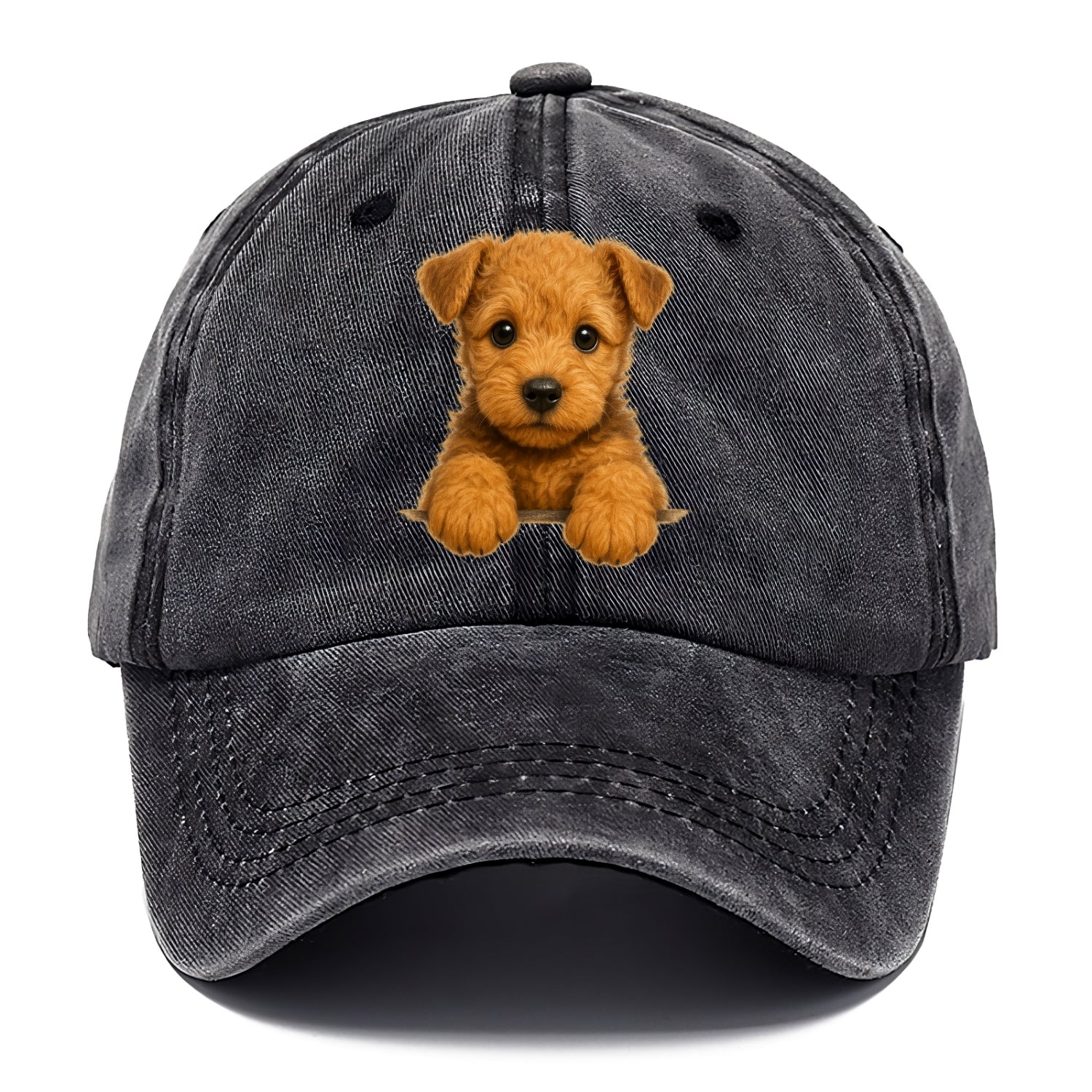Lakeland Terrier  - Classic Cap - Graphite