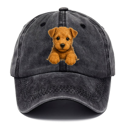 Lakeland Terrier  - Classic Cap - Graphite