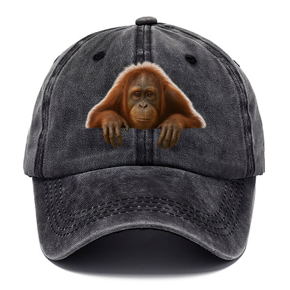 Orangutan  - Classic Cap - Graphite